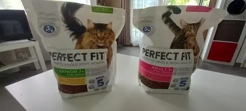 Croquettes chats