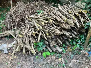 Bois mort taillé pour cheminée ou barbecue