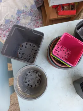 lot de pots en plastique diverses formes et diamètre