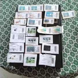 donne timbres collection