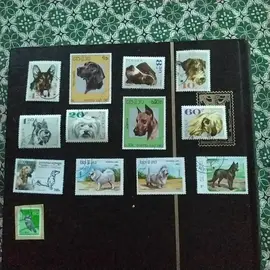 donne timbres collection étrangers 1lot par envoie chien