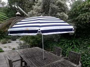 parasols