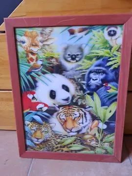 Cadre animaux