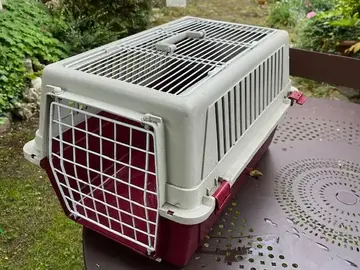 panier transport chat