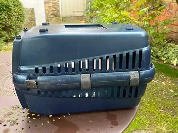 panier de transport chat