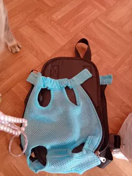 porte chaton ventral taille M