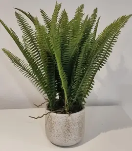 plante verte en plastique