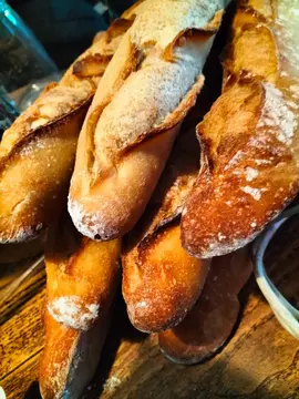 Lot 8 baguettes pain