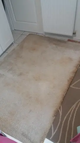 tapis à karcheriser