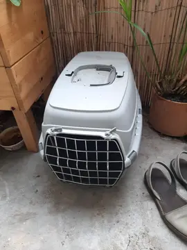 caisse de transport pour chat