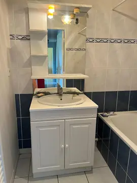 donne meuble de salle de bain avec mitijeur et siphon