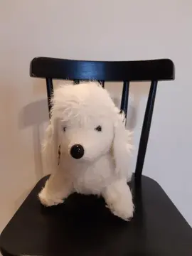 Chien en peluche