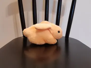 Petit lapin en peluche