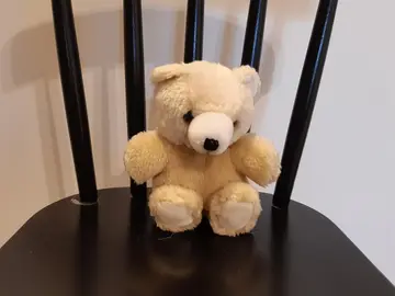 Ours en peluche