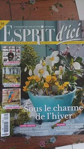 Revue esprit d'ici