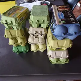 14 boîtes d'œufs vides