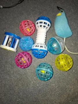 jouets pour chat