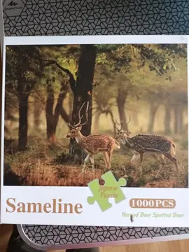 puzzle 1000 pieces