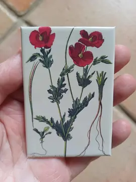 magnet coquelicots