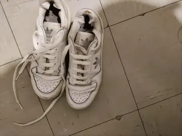 baskets adidas pointure 38
