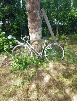 vélo homme