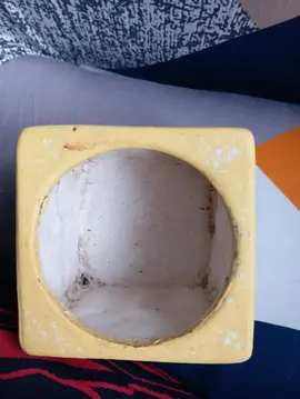 cache pot avec cactus sur les 4 côtés