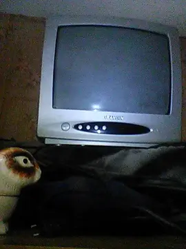 télévision