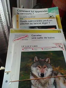 fiches