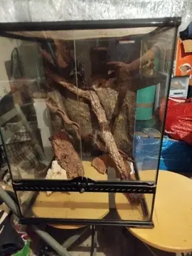 3 terrariums et 1 aquarium