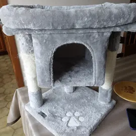Arbre à chat
