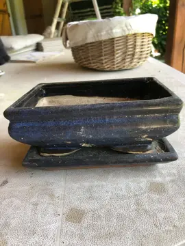 pot