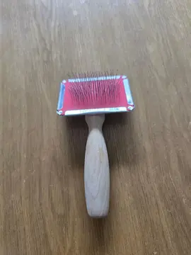 Petite brosse pour chats