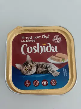 une terrine a dinde