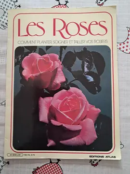 livre comment planter soigner et tailler vos rosiers