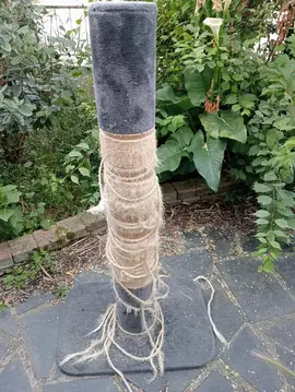 arbre à chat