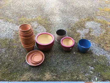 Pots à fleurs