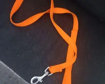 Laisse orange pour petit chien