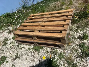 donne 2 palettes