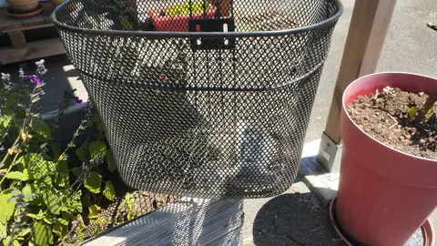 panier vélo avec accroche