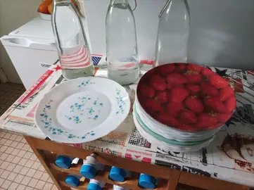Lot d'assiettes