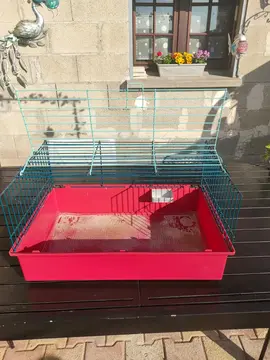 cage a cochon dinde