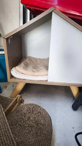 niche petit chien ou chat