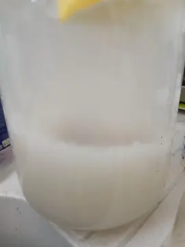 graines de kefir de fruits