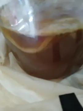 mère kombucha (skoby)