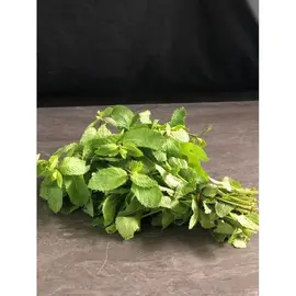 gros bouquet de menthe