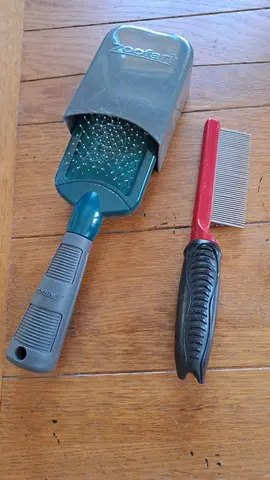 brosse pour chien