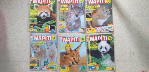 Un an de magazines WAPITI pour les enfants 7/12 ans