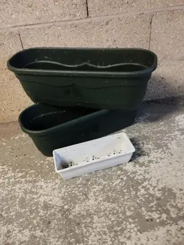 3 jardinières