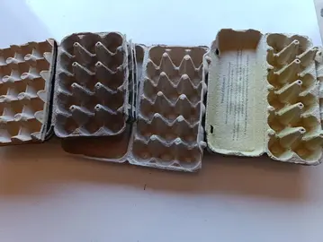 boîte à oeufs