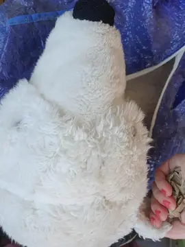 peluche ours polaire un mètre envirob